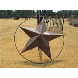 6' METAL STAR