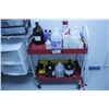Image 1 : 2 TIER RED MOBILE CART WITH FLUIDS, METAL RACKS