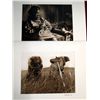 Image 1 : Pr Original Native American Photos - McNeil