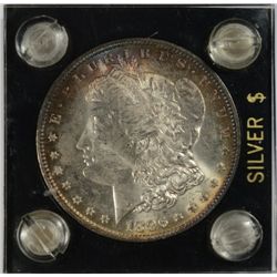 1896  Morgan $  NICE TONING  MS63  est $60-$65