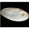 Image 1 : Shell Soapdish (DEC-000687)