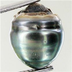 8.4ct Freeform Tahitian Black Pearl (GEM-045719)