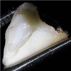 1.89ct Sudan Opal Rough  (GEM-029868A)