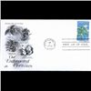 Image 1 : 1979 US First Day Postal Cover (STM-003280)
