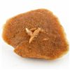 Image 1 : 160ct Desert Rose Crystal Cluster (MIN-000330)