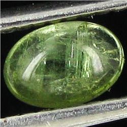 0.5ct Green Tourmaline Cabochon Oval (GEM-042665)