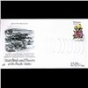 Image 1 : 1982 US First Day Postal Cover (STM-003427)