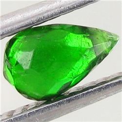 0.7ct Natural Chrome Green Diopside Briolet Briolet (GEM-049894)