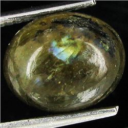 4.2ct Labradorite Cabochon Oval (GEM-042698)