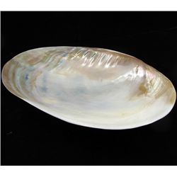 Shell Soapdish (DEC-000687)