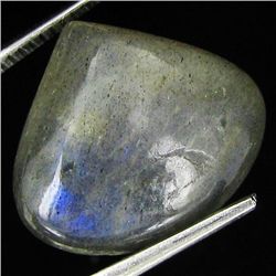 11.8ct Labradorite Cabochon (GEM-037360)