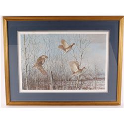 Fine Art Print Depicting Sharp Tailed Grause