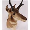 Image 2 : Antelope Mount
