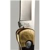 Image 2 : Buck #110 Auto Knife