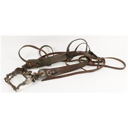 Daisy Bit with Leather Headstall