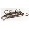 Image 1 : Daisy Bit with Leather Headstall