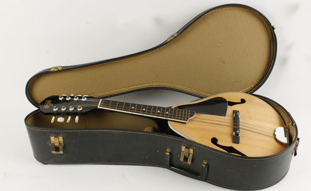 Hondo II Mandolin in Black Carry Case