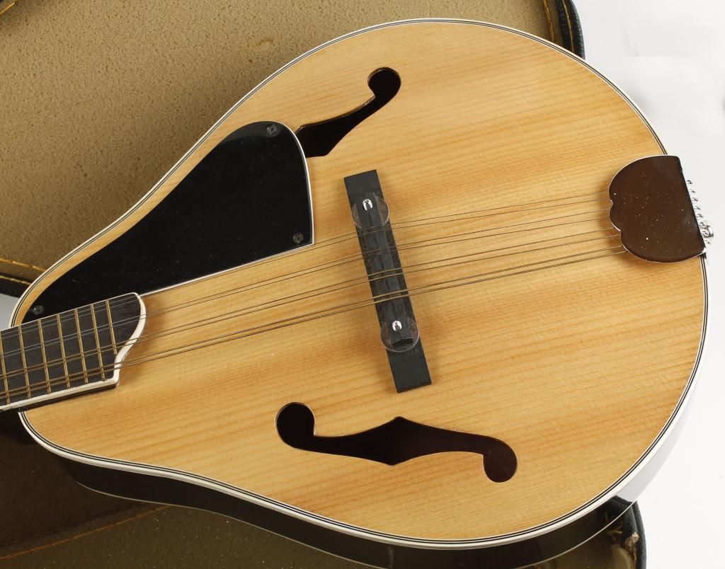 Hondo II Mandolin in Black Carry Case