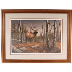 Fine Art Print Depicting a Bull Elk in the Forest