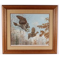 Fine Art Print Depicting a Hawk Attacking a Grouse