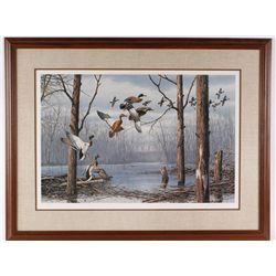 Fine Art Print Entitled "Deadwood Corner-Mallards"