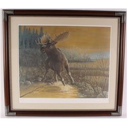 Fine Art Print Depicting a Moose Running