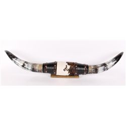 Hyde Wrapped Bull Horns on Board