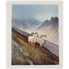 Image 1 : Color Print Entitled "Old Timers"