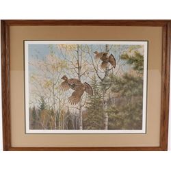 Fine Art Print Depicting Grouse in Flight