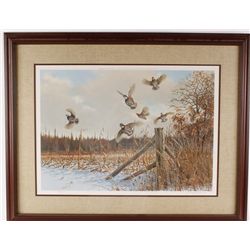Fine Art Print Depicting Game Birds in Flight
