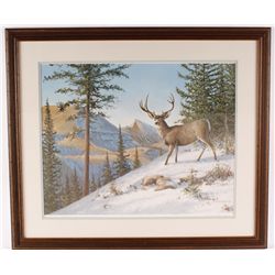 Fine Art Print Depicting "Buck in the Snow"