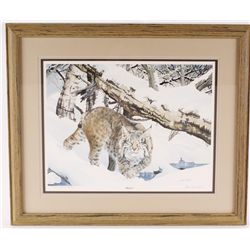 Fine Art Print Entitled "Illusive"