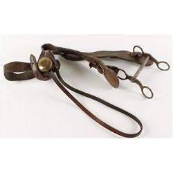 Collection of 2 Head Stalls