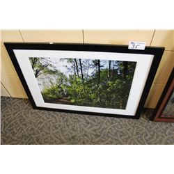 C.W. COLLACOTT PHOTOGRAPH  'TRAIL WALK'