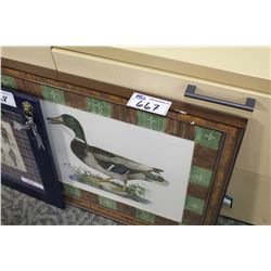 FRAMED PICTURE MALLARD DUCK