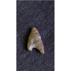 Sahara Neolithic point, measures approx 1 inch