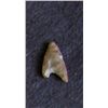 Image 1 : Sahara Neolithic point, measures approx 1 inch