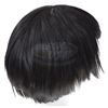 Image 2 : Star Trek: Deep Space Nine (TV) - Romulan Wig