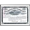 Image 1 : Transcontinental Aerial Navigation Co., 1888, Amazing Early “Lighter than Air” Aviation Stock.