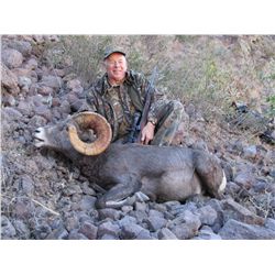 LA-22 BAJA CALIFORNIA SUR, MEXICO,  EL VIZCAINO BIOSPHERE RESERVE, DESERT BIGHORN SHEEP HUNT