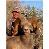 Image 4 : LA-22 BAJA CALIFORNIA SUR, MEXICO,  EL VIZCAINO BIOSPHERE RESERVE, DESERT BIGHORN SHEEP HUNT