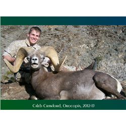 LA-17 CALIFORNIA OPEN ZONE DESERT SHEEP TAG