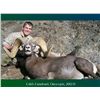 Image 1 : LA-17 CALIFORNIA OPEN ZONE DESERT SHEEP TAG