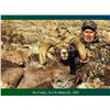 Image 2 : LA-17 CALIFORNIA OPEN ZONE DESERT SHEEP TAG