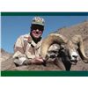 Image 4 : LA-17 CALIFORNIA OPEN ZONE DESERT SHEEP TAG