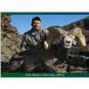 Image 7 : LA-17 CALIFORNIA OPEN ZONE DESERT SHEEP TAG