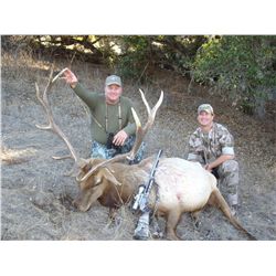 LA-27 RARE 6 DAY FULLY GUIDED 1X1 HUNT FOR ONE HUNTER FOR ONE TULE ELK IN MONTEREY COUNTY, CA