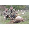 Image 3 : LA-27 RARE 6 DAY FULLY GUIDED 1X1 HUNT FOR ONE HUNTER FOR ONE TULE ELK IN MONTEREY COUNTY, CA