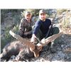 Image 2 : LA-15 5-DAY SOUTHEAST IBEX HUNT FOR 1 HUNTER IN SPAIN AND 1 NON-HUNTER