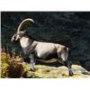 Image 5 : LA-15 5-DAY SOUTHEAST IBEX HUNT FOR 1 HUNTER IN SPAIN AND 1 NON-HUNTER